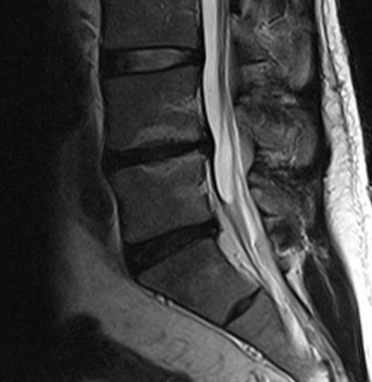 Stacks Image 82226